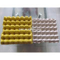 Colorful Chicken Duck Egg Cartons For Sale